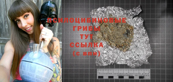 МДПВ Белокуриха