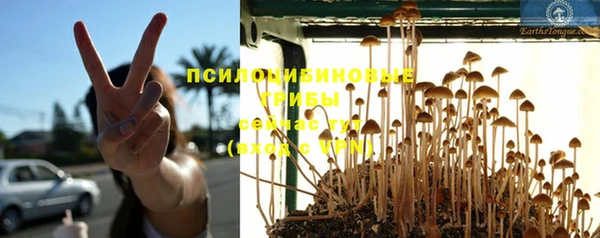 МДПВ Белокуриха